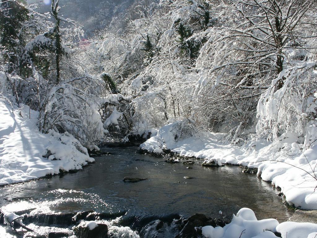 Pieve Di Ca Maggiore Фиренцуола Екстериор снимка