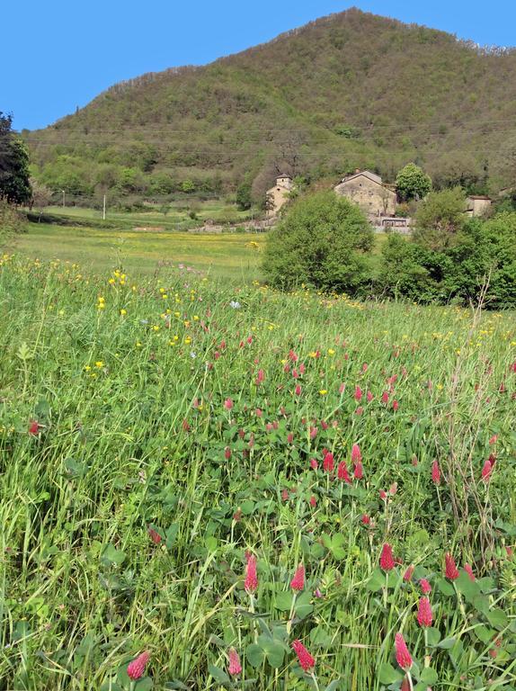 Pieve Di Ca Maggiore Фиренцуола Екстериор снимка